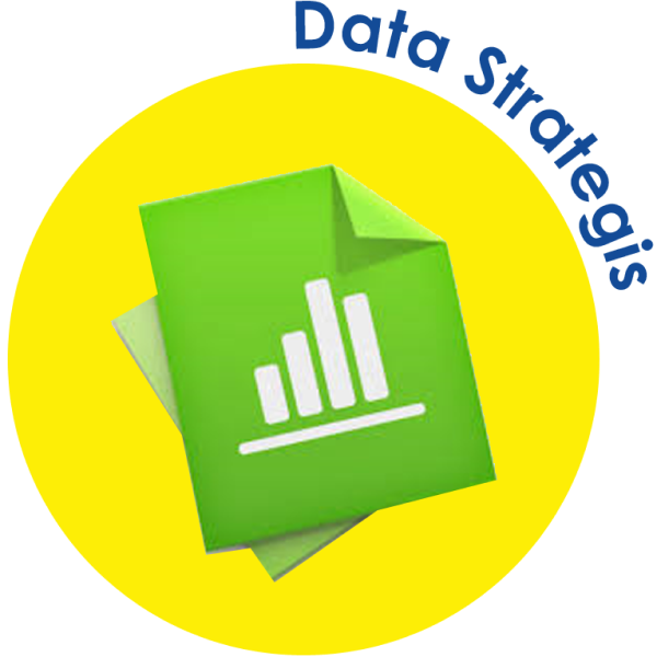 data-strategis